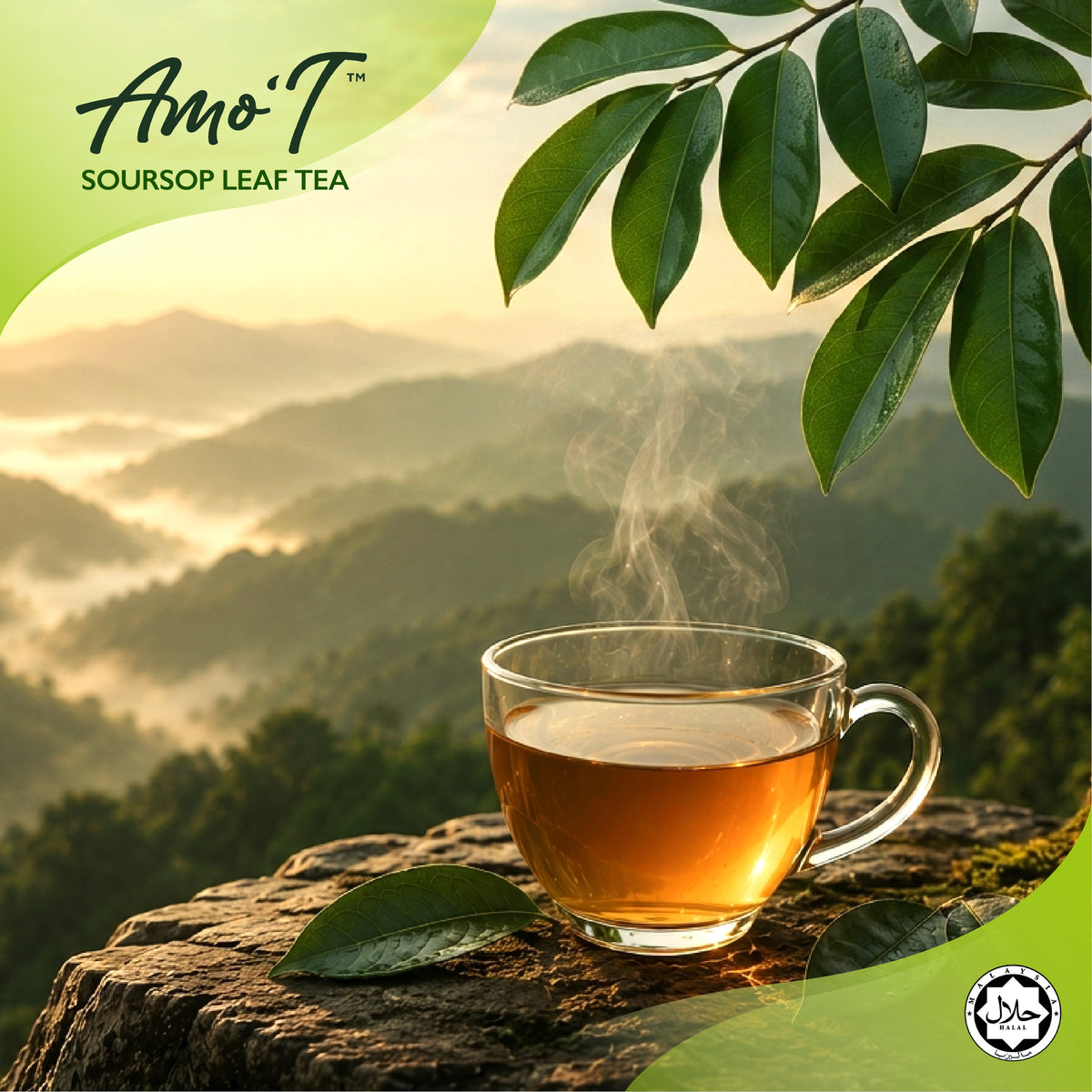 Amo'T Pure Soursop Leaf Tea